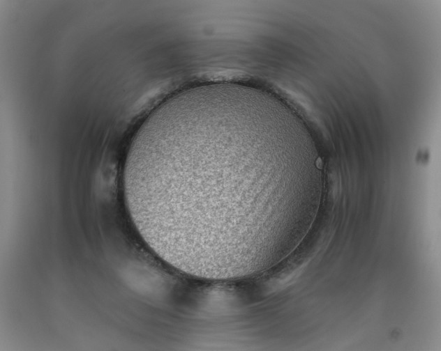 X0000091960308200709201349