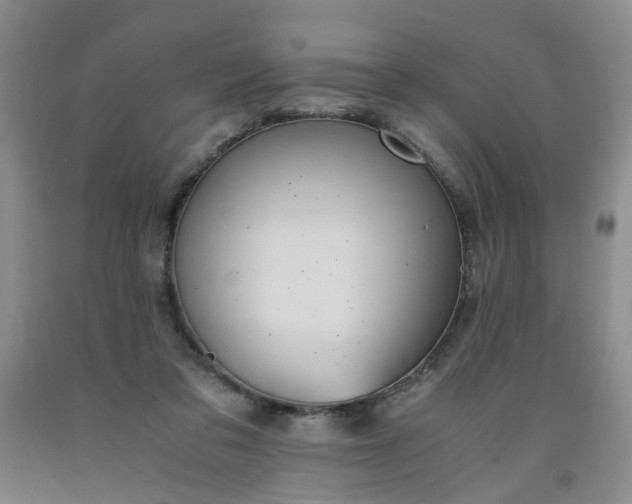 X0000091960309200709201349