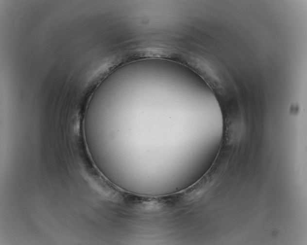 X0000091960310200709201349