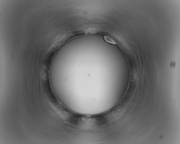 X0000091960311200709201349