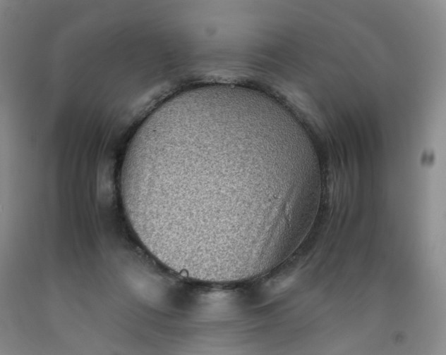 X0000091960312200709201349