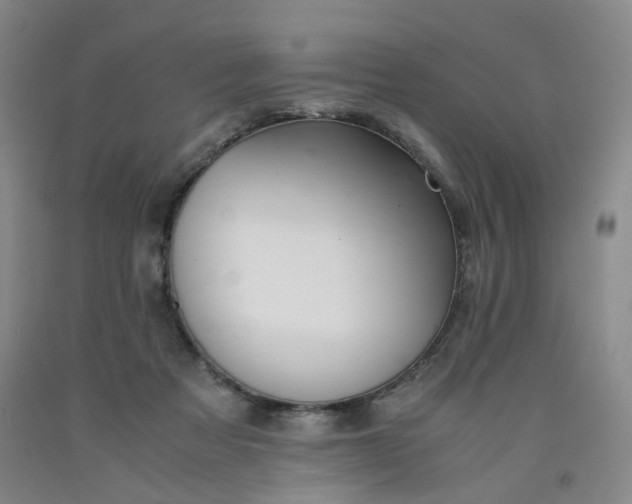 X0000091960313200709201349