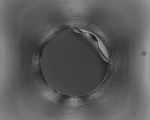 X0000091960314200709201349