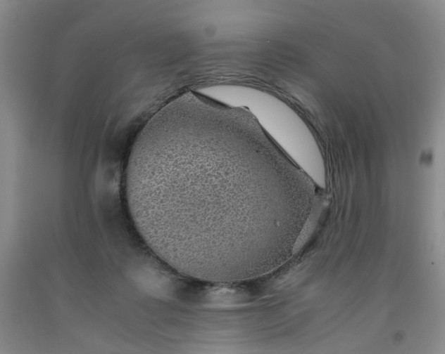 X0000091960315200709201349