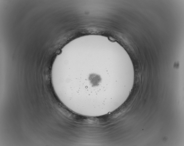 X0000091960317200709201349