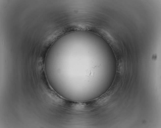 X0000091960318200709201349