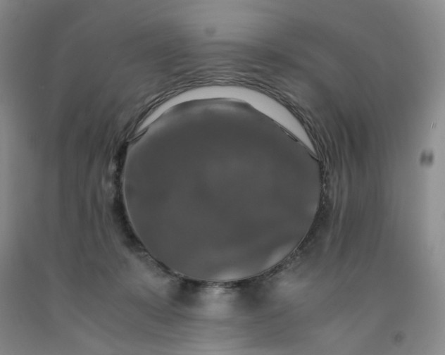 X0000091960319200709201349