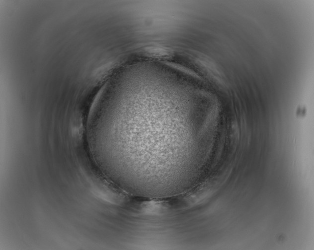 X0000091960320200709201349