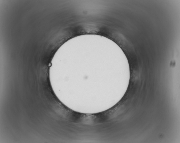 X0000091960321200709201349