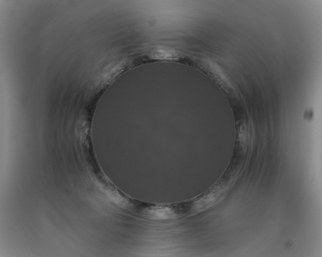 X0000091960322200709201349