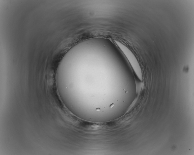 X0000091960323200709201349