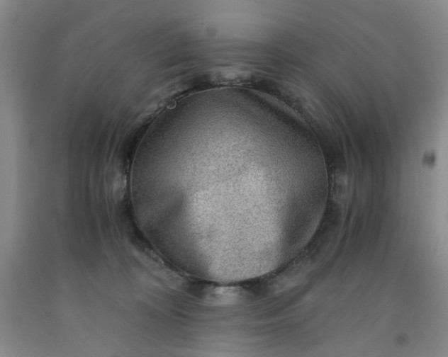 X0000091960324200709201349