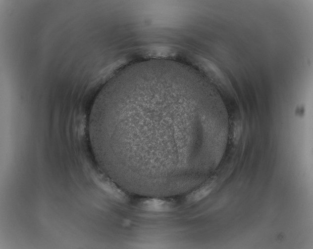 X0000091960326200709201349