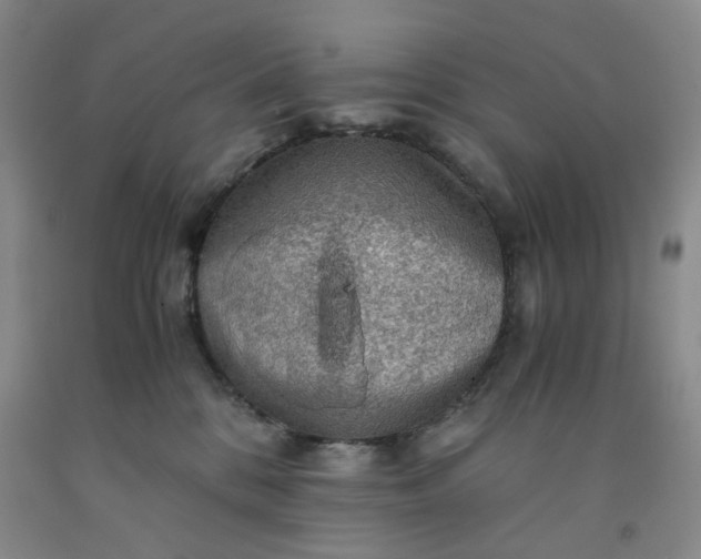 X0000091960328200709201349