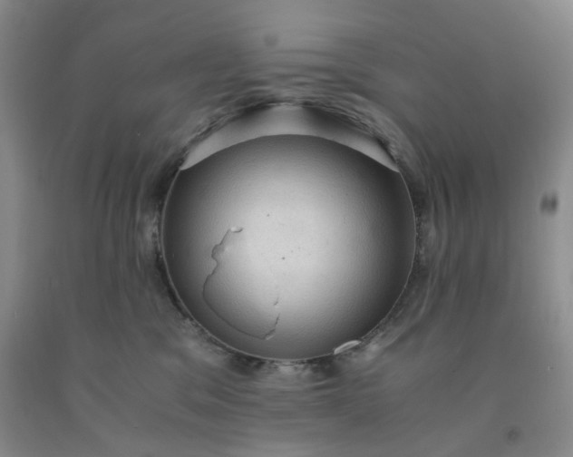 X0000091960329200709201349