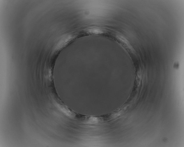 X0000091960330200709201349