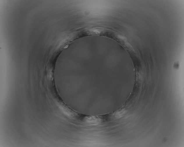 X0000091960331200709201349