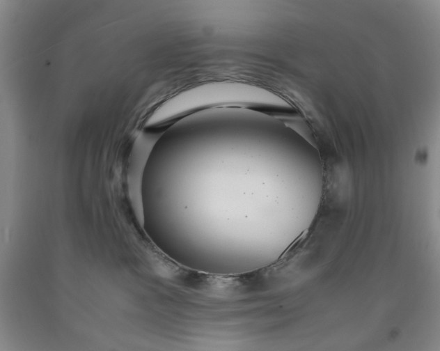 X0000091960333200709201349