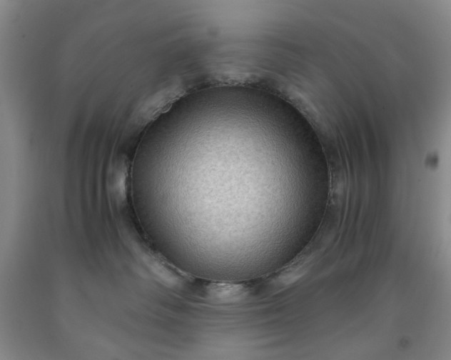 X0000091960334200709201349