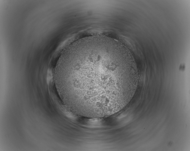 X0000091960335200709201349