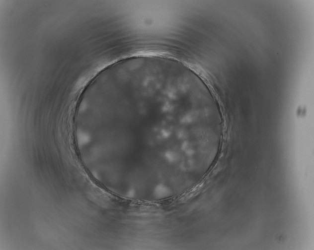 X0000091960337200709201348