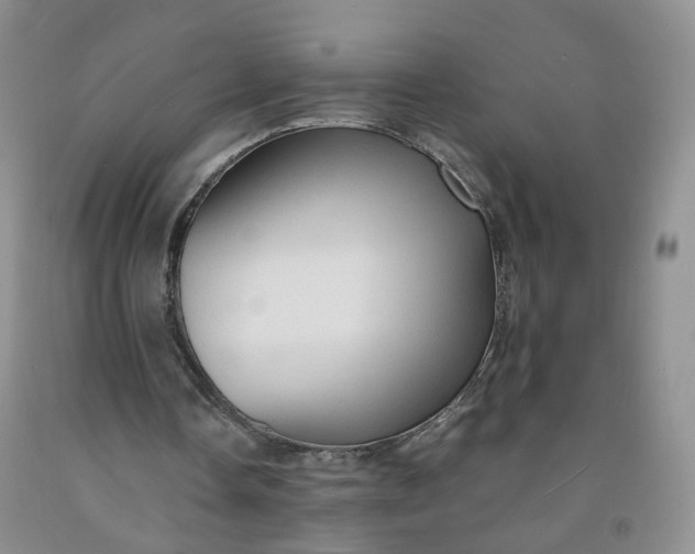 X0000091960338200709201348