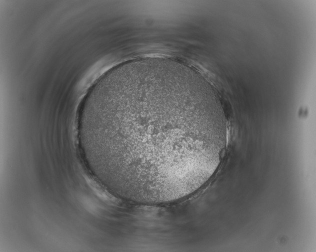 X0000091960339200709201348