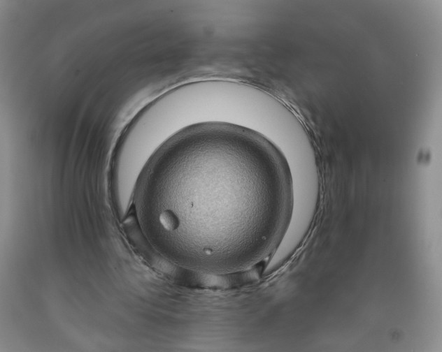 X0000091960340200709201348