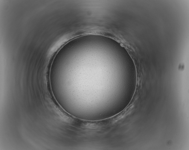 X0000091960341200709201348