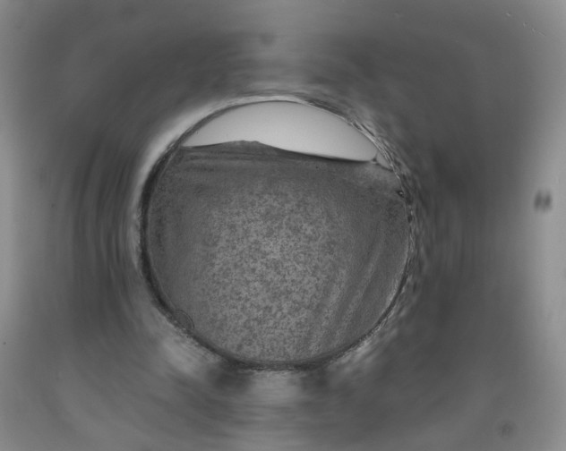 X0000091960342200709201348