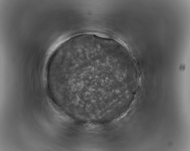 X0000091960343200709201348