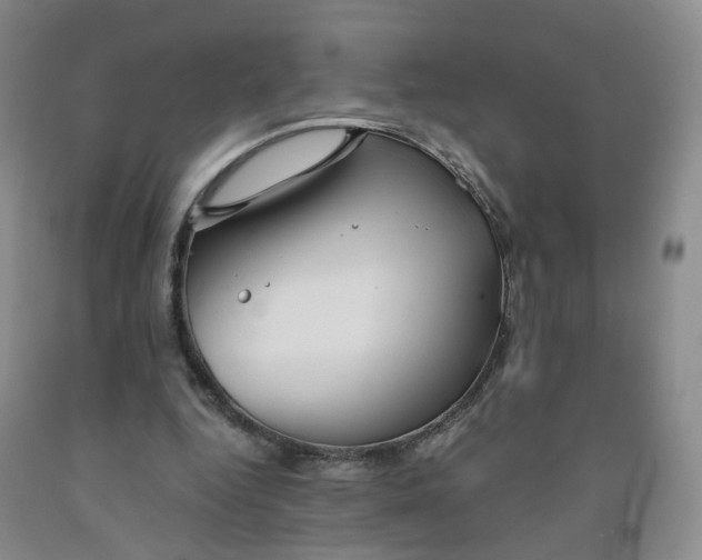 X0000091960344200709201348