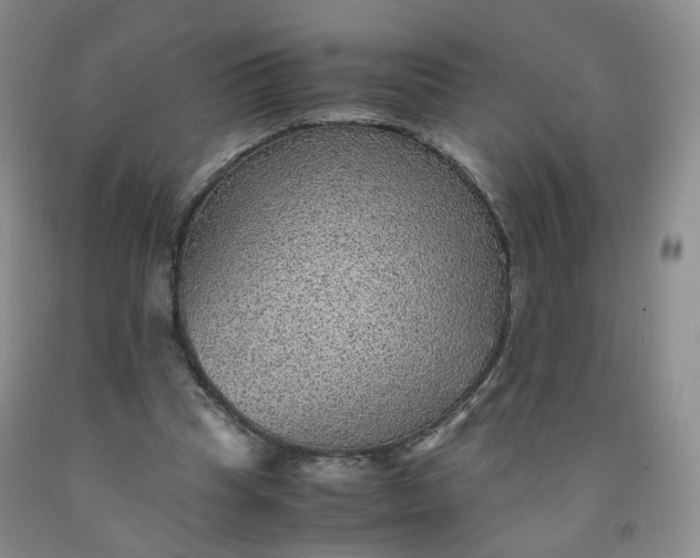 X0000091960345200709201348