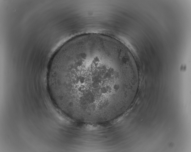 X0000091960346200709201348