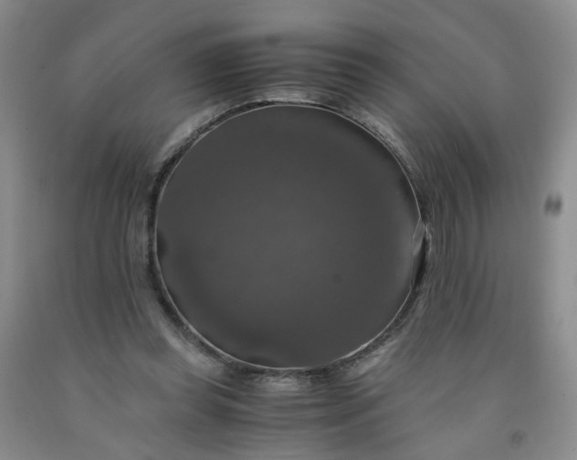 X0000091960349200709201348