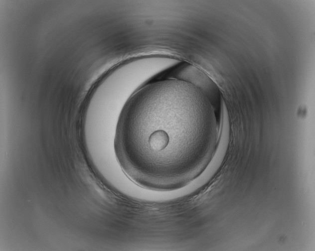 X0000091960350200709201348