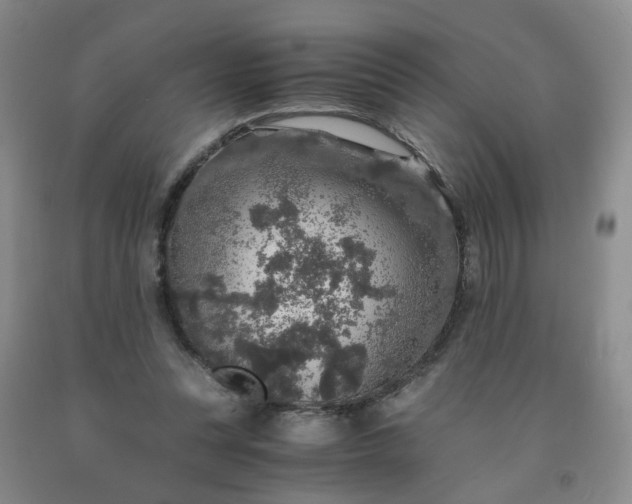 X0000091960351200709201348