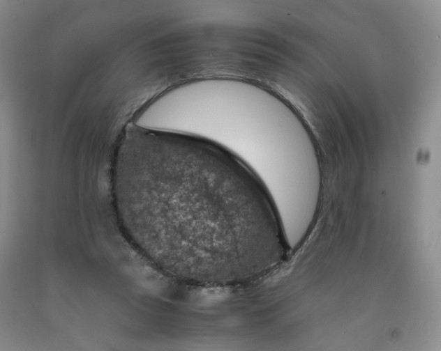 X0000091960353200709201348