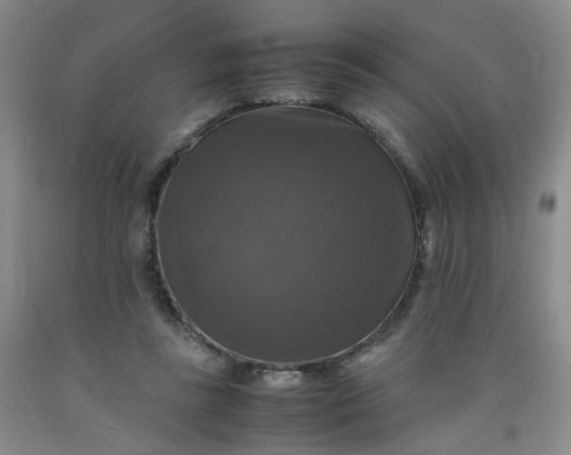 X0000091960355200709201348