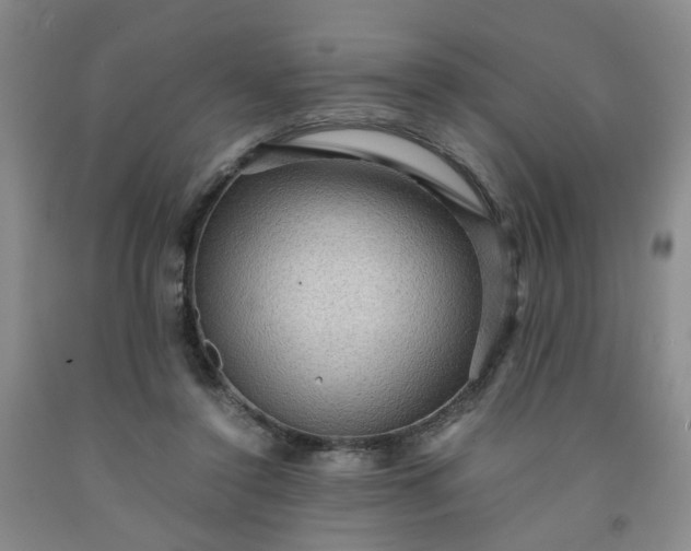 X0000091960356200709201348