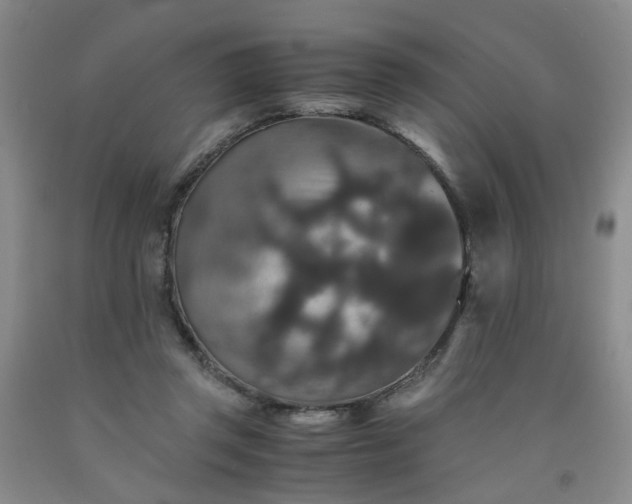 X0000091960357200709201348