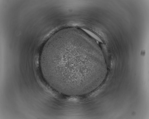 X0000091960358200709201348