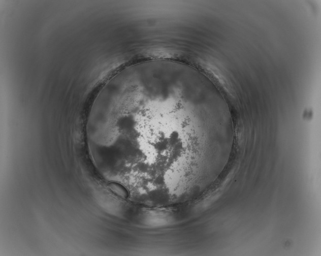 X0000091960359200709201348