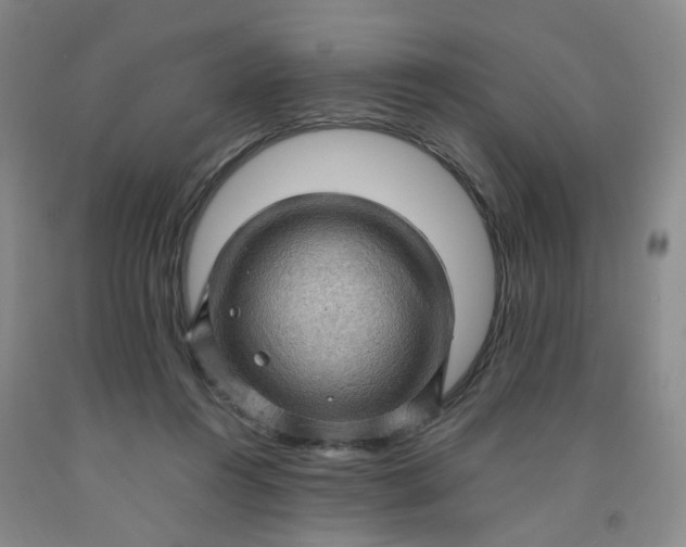 X0000091960360200709201348