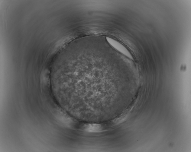 X0000091960361200709201348