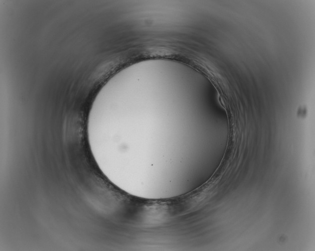 X0000091960362200709201348