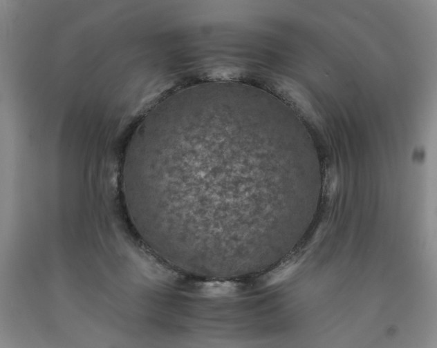 X0000091960363200709201348