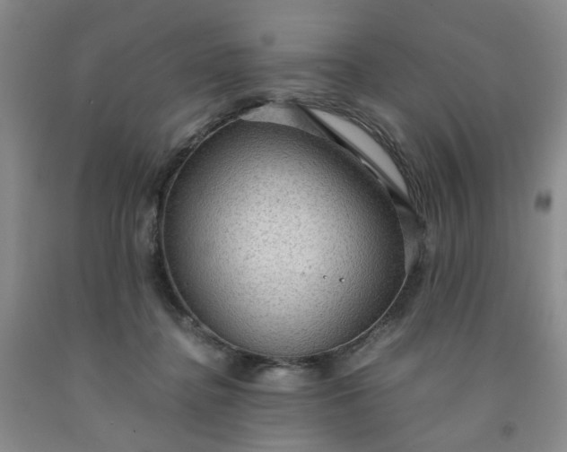 X0000091960364200709201348