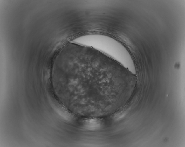 X0000091960365200709201348