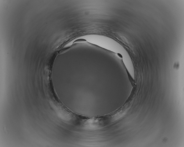 X0000091960366200709201348